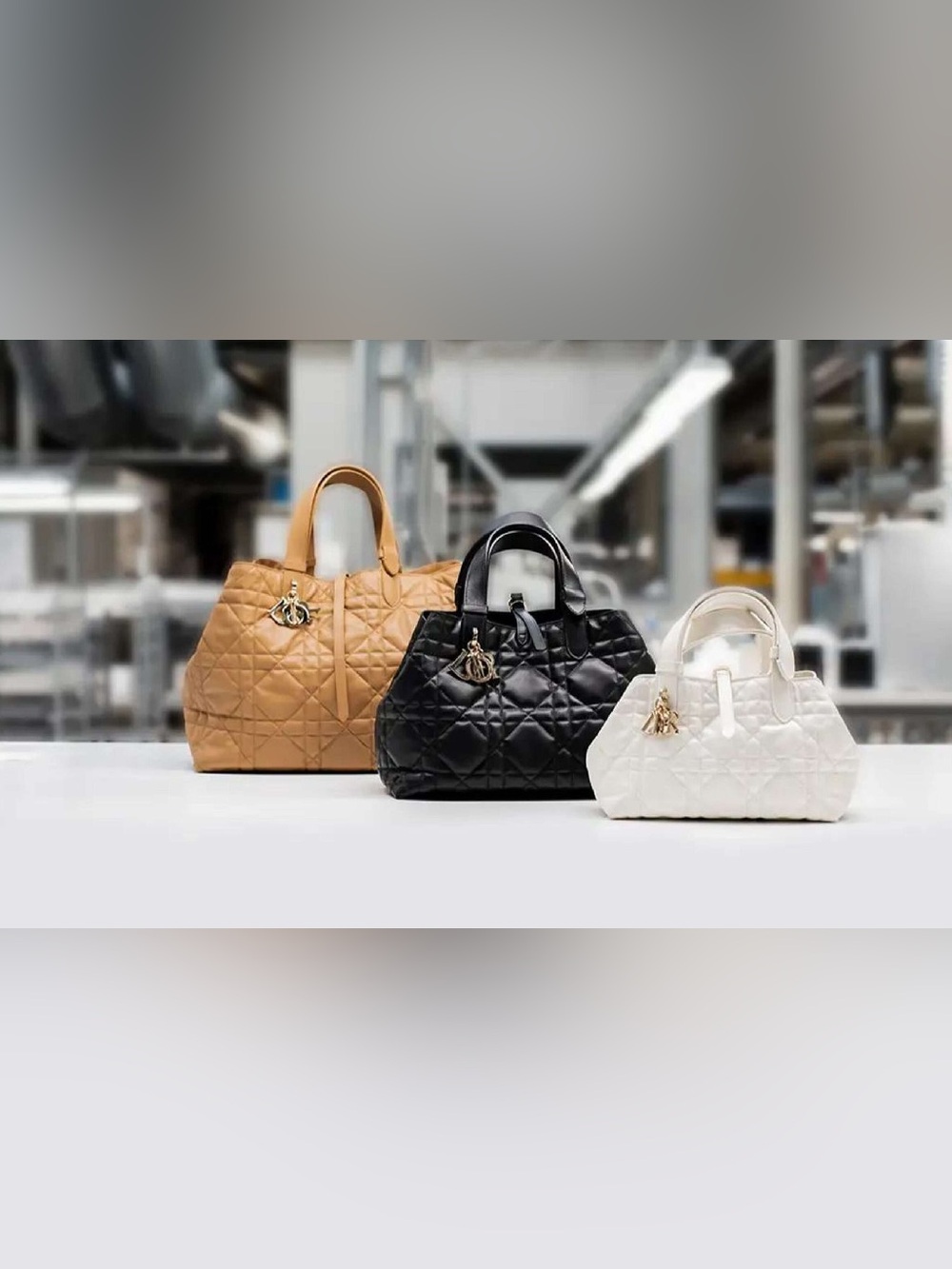 Christian Dior Tujours Tote - Picture 12 of 16